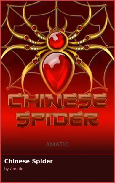 Chinese Spider