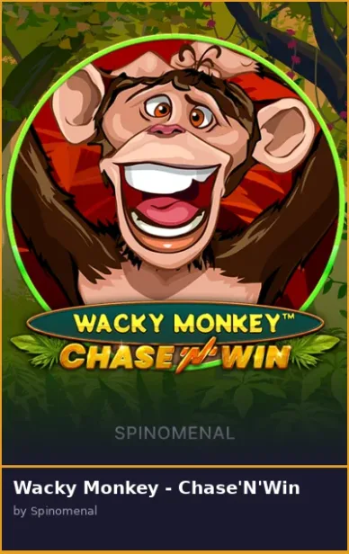 Wacky Monkey -   Chase N Win
