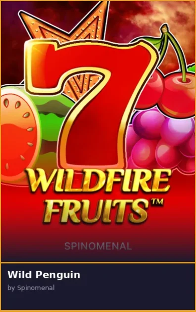 Wild Penguin